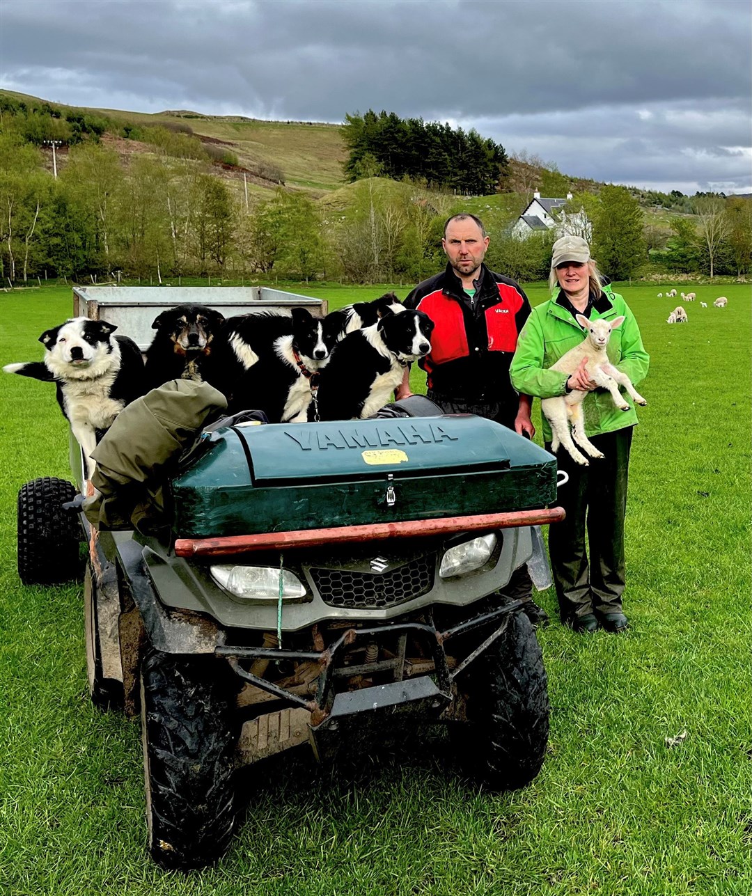 Ewan and Lucy Grant who farm at Gaskbeg by Laggan are desperately trying to protect their lambs from airborne raids.