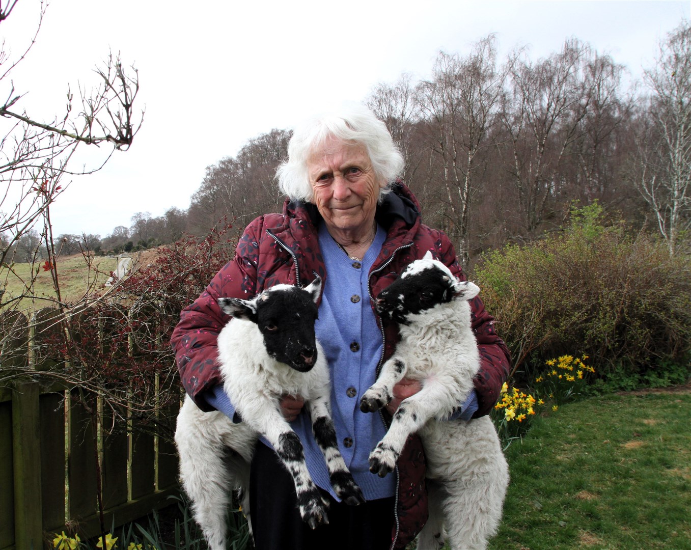 Margaret and her family are now hand-rearing the four lambs.