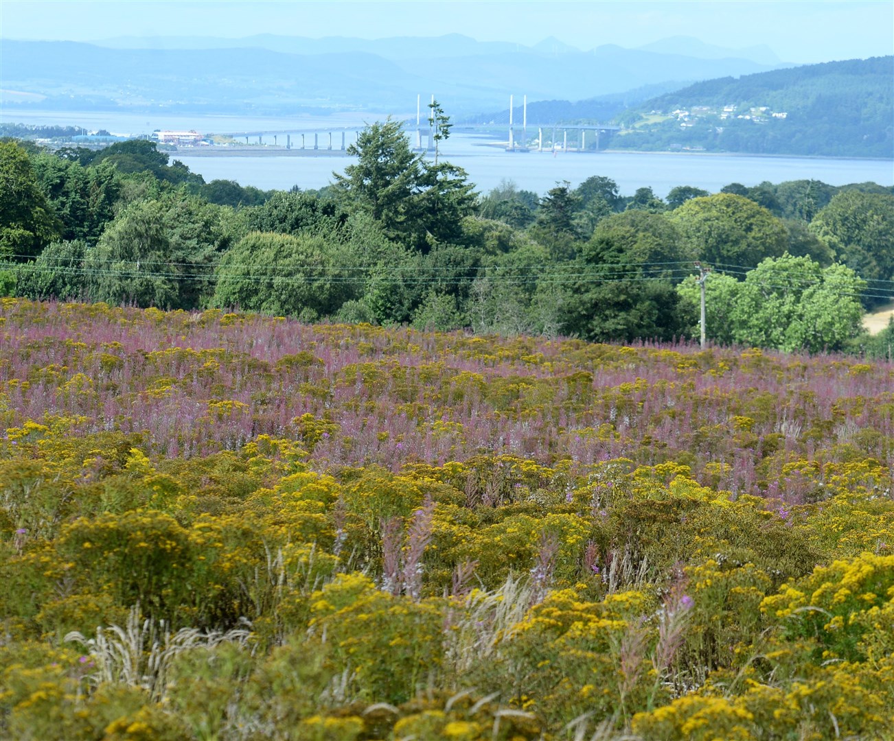 Almost 300 homes are to be built between Balloch and Culloden.