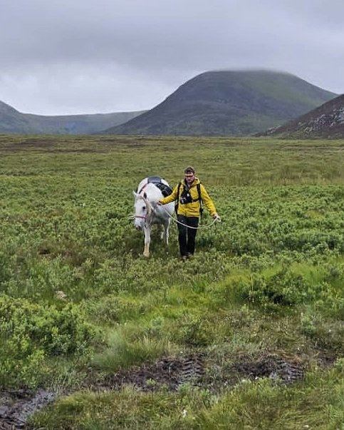 The Cairngorm Mountain Rescue Team rescued a horserider who sustained a leg injury while crossing a stream in Glen Banchor near Newtonmore.