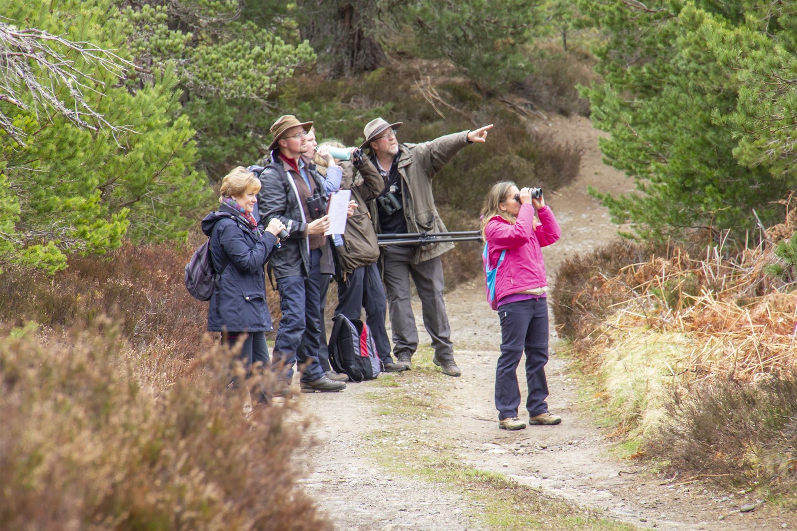 Park spotters