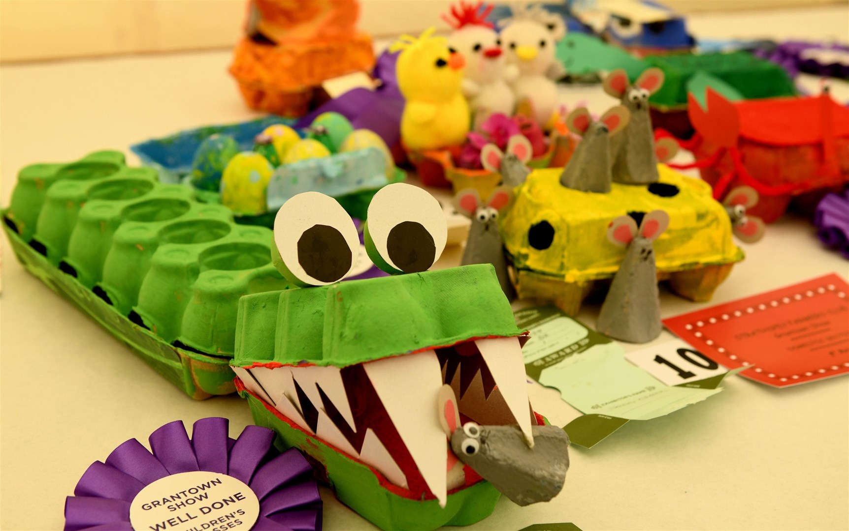 Some wonderfully creative decorated egg boxes. Picture: James Mackenzie.
