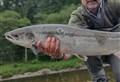Fishery groups reminded to apply to £145k salmon fund 