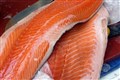 Scottish salmon sales grow as exports return to pre-pandemic levels