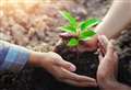 Office Angels plant a tree for every employee
