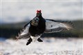 One of Andy Howard's photos.