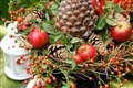 Correction to venue of Newtonmore Floral Art Club