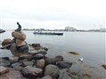 The Little Mermaid really is little. But she's a big attraction. Picture: Hector Mackenzie