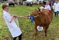 Preparations just about there for the Grantown Show