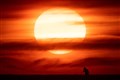 Met Office launched ‘extreme heat’ warnings after record heatwave deaths in 2020