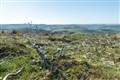 Moorland twice the size of Greater London devoted to raising grouse, says study
