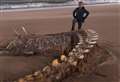 Speculation that washed up skeleton is the Loch Ness Monster