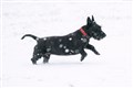 Snow warnings in place after coldest night of the year