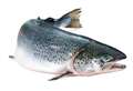 Highland MSP highlights salmon 'extinction' threat