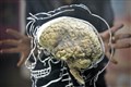 Happy endings trip up the brain’s decision-making, study suggests