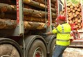 Funds on offer to take timber lorries off the Highlands' roads
