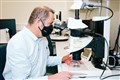Researchers will use zebrafish to help identify genes that cause scarring