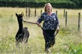 Geronimo the alpaca removed as police arrive at Gloucestershire farm