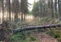 Stay clear of storm-damaged forests in Highlands, people warned