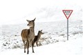 In Pictures: Storm Bella brings snow and floods