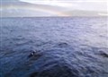 Latest Nessie sighting creates waves