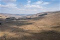 £3.5m bid to create new woodland in Yorkshire Dales