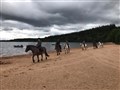 Strolling along the quiet beach.