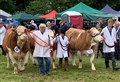 Today’s Grantown Show is in excellent hands
