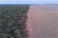 Forests almost twice the size of UK destroyed in global hotspots – WWF report