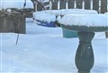 Carrbridge at -19.9 earlier today, says weather watcher