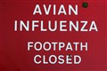 Bird flu confirmed in chickens on island farm