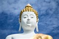 Buddhists come to blows over a cup of tea at Highlands retreat