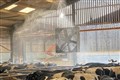 Farmers install misting system and carry out extra checks on cattle amid heatwave