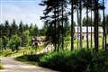 New Cairngorms forestry strategy proposed