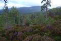 Claims mobile phone masts ‘saga’ in Cairngorms is turning into a ‘right farce’