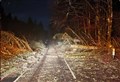 PICTURES: Scale of Storm Gerrit tree fall damage to A82 highlighted by Bear Scotland