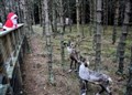 Kincraig reindeer move into new pad in time for Christmas