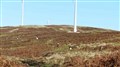 Gamekeepers want more transparency on Highland windfarm impacts