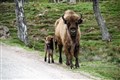 A very proud Mum at Kincraig!