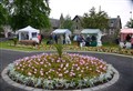 Debut season for market in Kingussie to come to close at weekend
