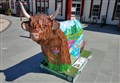 Avie-mooer favourite is in need of some TLC