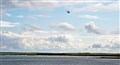 A joint operation by emergency services searching for a missing woman took place around the coastline at Keiss over the weekend. Picture: DGS