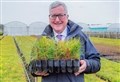 Big rise in tree planting in Scotland will help tackle global warming