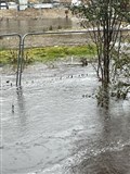 Craig-na-Gower was one of the worst affected spots in Aviemore last month when floods hit the strath.