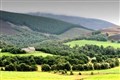 Get a taste for Glenlivet at open day