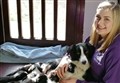 Crisis for animal charity as pandemic hits donations
