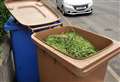 Garden waste collection permit holders advised to renew ahead of 2022/23 season