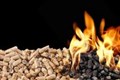 New Highlands group will help fuel demand for timber