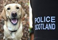 Support for tougher punishments for dog thefts being proposed at Holyrood