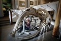 113-year-old whale skeleton dismantled ahead of museum refurbishment